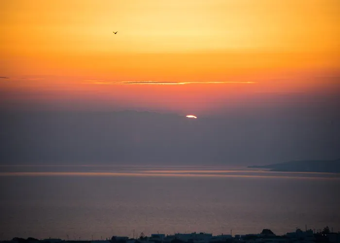 מלון 9 Islands Mykonos