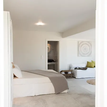 酒店 9 Islands Mykonos